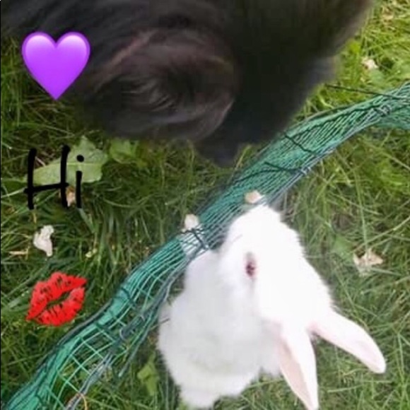 NEW Blue/White Winter Christmas Holiday Floral Spray Hangable Centerpiece 🎉HP🎉 - Picture 3 of 16